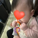 하나로주유소 | 6개월아기와 떠난 제주여행 일정 및 경비