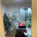 곽지 1645 이미지