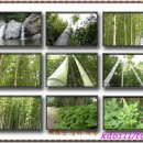 명정천 화장실 이미지