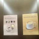 내수 상3호(비1호) | 강릉 순부두젤라또 3호점 방문 후기 ~ 처음 접하는 두부젤라또 기대만발