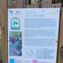 한라산둘레길(3월20일~3월26일) 이미지