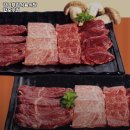 오동동162 | 감나무집식육식당 합포구점 경남 창원 한우 추천