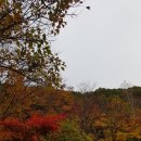 덕유대자동차야영장 | 덕유대 자동차 야영장 캠핑 후기 (7영지 배치도)