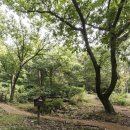 용인자연휴양림1 이미지