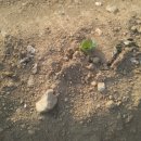 김정숙 농장 이미지