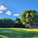 오크식당 이미지