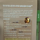밀레니엄 | 정신 차리니 봄이 왔다 3월