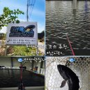 아산락실내바다낚시터 이미지