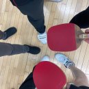 강호체육관 | 수원 매탄다목적체육관 방문 후기 : 여운모 왕초보 탁구 모임 &amp; 주차 정보 꿀팁!