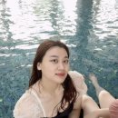싱삼 이미지
