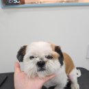 아름스파 이미지