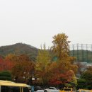 용인대정인태권도 이미지