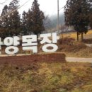 안양목장 이미지