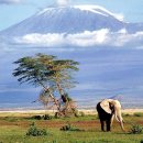 킬리만자로산(Mt. Kilimanjaro) 이미지