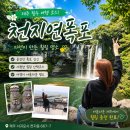 천제연매점 | 제주도 폭포 서귀포 야간 명소 천지연폭포 야간 시간