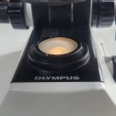 BS메디칼 이미지