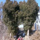 영락초등학교 이미지