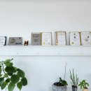 다나뷰티 이미지