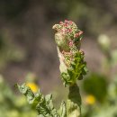 수리봉마을 이미지