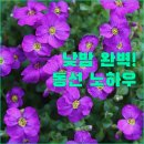 디여라 | 낮엔 시원한 돔, 밤엔 슈퍼트리.. 딱 맞춰가는 동선 노하우..