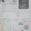 TCI 자기보고서 이미지