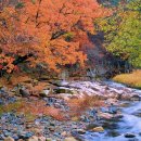 국내3대사찰=통도사=부처를 상징하는 불상조차 없는 사찰=대웅전아닌 보궁이라 불리는 그 공간은 실제 부처의 진신사리와 가사가 봉안 이미지