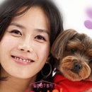 오마이펫