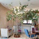 미하이의원 이미지