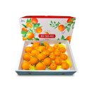 다온푸드 이미지