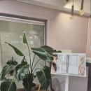 터치앤바디 네이버블로그