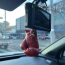 유강스시 | 출산 전 나의 마지막 기록이 되려나? (feat. 뚜리의 발차기)