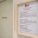 중앙동물메디컬센터 | 잠실고양이병원 채움만의 특별한 건강검진 프로그램
