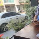 서촌쿨세탁