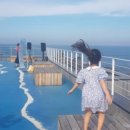 아트펫 갤러리 이미지