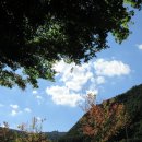 태백시청후문 | [사진일기] 2017.09.21 태백 하나로마트 그랜드 오픈 그리고 분식 Canon IXUS 285HS