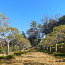 장기목장 이미지