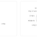 평화로03 이미지