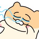 돔베참치
