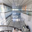 베이식X넉살X딥플로우 | 파크루안 야외웨딩 본식스냅 오라일리웨딩 본식 내돈내산 솔직후기