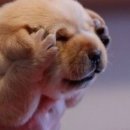 펠리체PT스튜디오 이미지