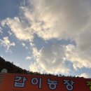 갑이농장 이미지