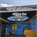 293 | [ Café ] 내돈내산 세종 대형 카페 " 시선 293 " 후기