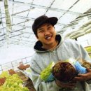 라온팜 이미지