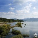 대청호반 이미지