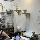 2024 서울리빙디자인페어 관람 후기 ep.03 _ C,D홀 / 그릇부터 패브릭, 먹거리까지~ 웜그레이테일...