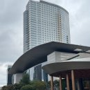파르나스호텔 | 삼성역 웨스틴 서울 파르나스 신상 호텔 포숙 후기