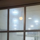 써니펫시터 이미지