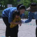 가회초등학교 티스토리