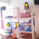 악쓰는하마 명품노래연습장 이미지