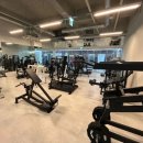 올 마이트 짐 이미지